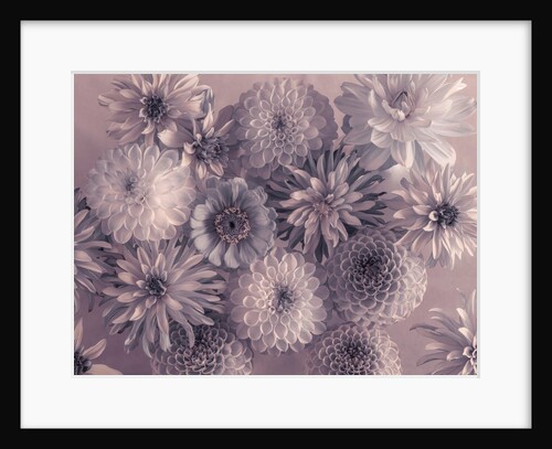 Mixed flowers by Assaf Frank